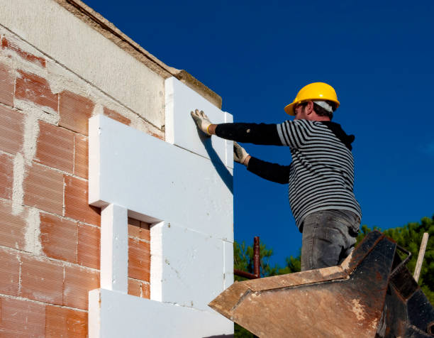 Best Spray Foam Insulation in Reidsville, GA